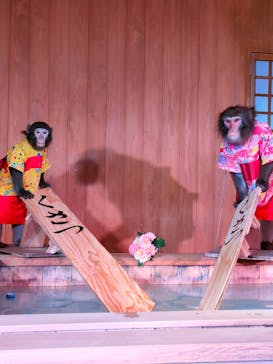 おさるの湯もみ処　おさ湯に投稿された画像（2024/11/27）