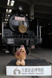 京都鉄道博物館に投稿された画像（2024/11/27）