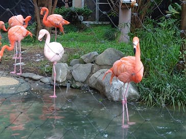 恩賜上野動物園に投稿された画像（2024/11/27）