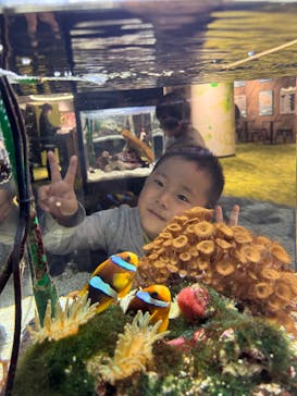 京都水族館に投稿された画像（2024/11/27）