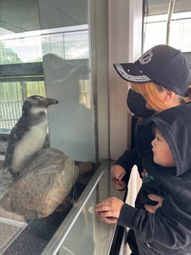 京都水族館に投稿された画像（2024/11/27）
