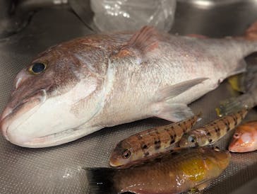 つり太郎に投稿された画像（2024/11/27）