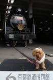 京都鉄道博物館に投稿された画像（2024/11/27）