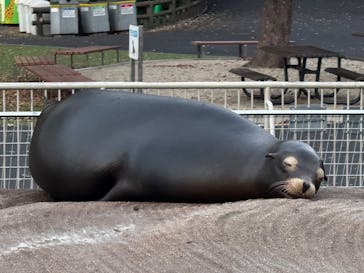 名古屋市東山動植物園に投稿された画像（2024/11/27）