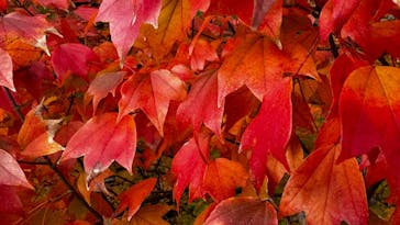 名古屋市東山動植物園に投稿された画像（2024/11/27）