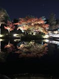 国営昭和記念公園 秋の夜散歩に投稿された画像（2024/11/27）