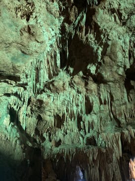 石垣島鍾乳洞に投稿された画像（2024/11/27）