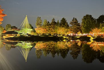 国営昭和記念公園 秋の夜散歩に投稿された画像（2024/11/27）