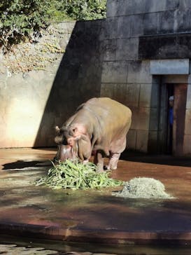 名古屋市東山動植物園に投稿された画像（2024/11/27）