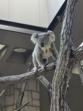 名古屋市東山動植物園に投稿された画像（2024/11/27）