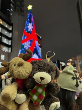 梅田スカイビル・空中庭園展望台に投稿された画像（2024/11/27）