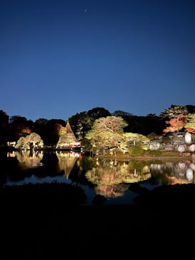 六義園に投稿された画像（2024/11/27）