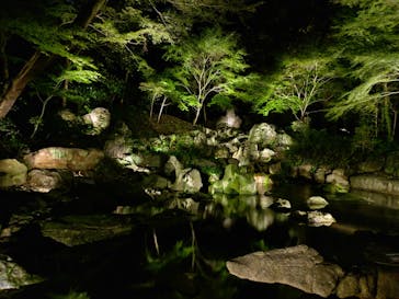 六義園に投稿された画像（2024/11/27）