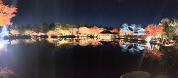 国営昭和記念公園 秋の夜散歩に投稿された画像（2024/11/27）