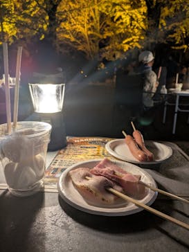 国営昭和記念公園 秋の夜散歩に投稿された画像（2024/11/27）