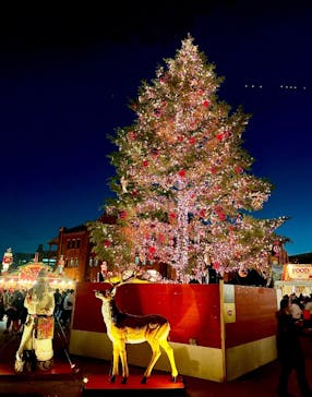 Christmas Market in 横浜赤レンガ倉庫 2025に投稿された画像（2024/11/27）