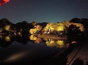 六義園に投稿された画像（2024/11/27）