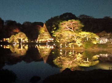 六義園に投稿された画像（2024/11/27）