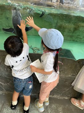 しながわ水族館に投稿された画像（2024/11/27）