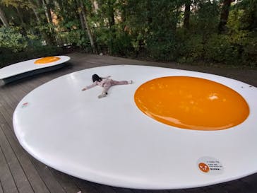 彫刻の森美術館に投稿された画像（2024/11/27）