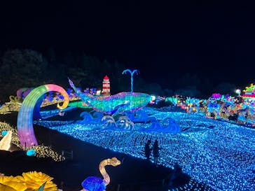 伊豆高原グランイルミに投稿された画像（2024/11/27）