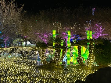 伊豆高原グランイルミに投稿された画像（2024/11/27）