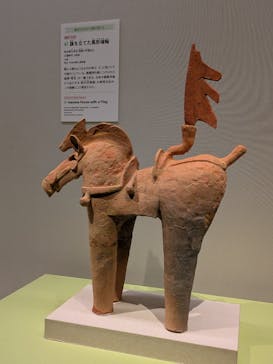 挂甲の武人 国宝指定50周年記念 特別展「はにわ」@東京国立博物館 平成館に投稿された画像（2024/11/27）