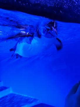 AOAO SAPPOROに投稿された画像（2024/11/27）