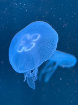 AOAO SAPPOROに投稿された画像（2024/11/27）