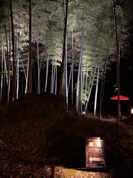 六義園に投稿された画像（2024/11/27）