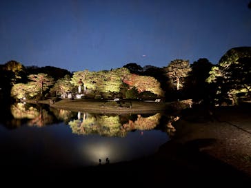 六義園に投稿された画像（2024/11/27）