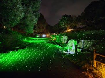 ニジゲンノモリに投稿された画像（2024/11/27）