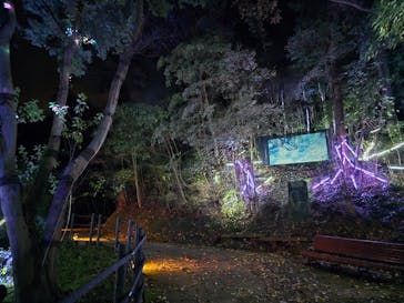 ニジゲンノモリに投稿された画像（2024/11/27）