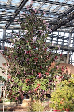 安城産業文化公園デンパークに投稿された画像（2024/11/27）