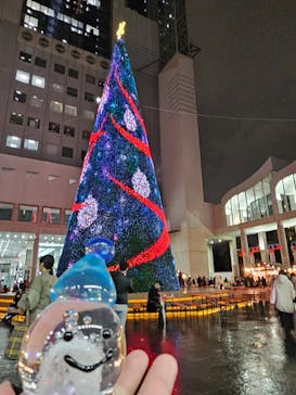 梅田スカイビル・空中庭園展望台に投稿された画像（2024/11/27）