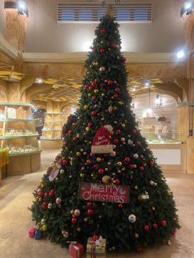 ナゴパイナップルパークに投稿された画像（2024/11/27）