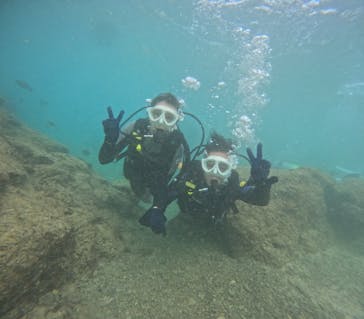 沖縄マリンサービス碧に投稿された画像（2024/11/28）