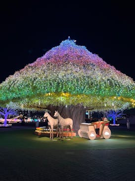 東京メガイルミに投稿された画像（2024/11/28）