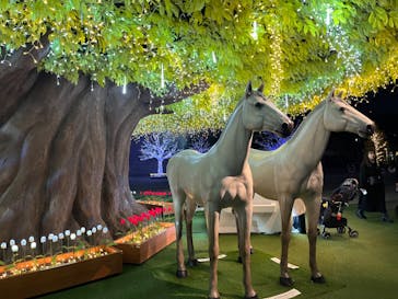 東京メガイルミに投稿された画像（2024/11/28）