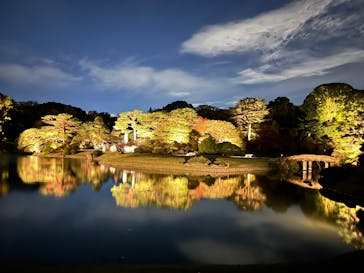 六義園に投稿された画像（2024/11/28）