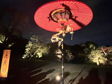 六義園に投稿された画像（2024/11/28）