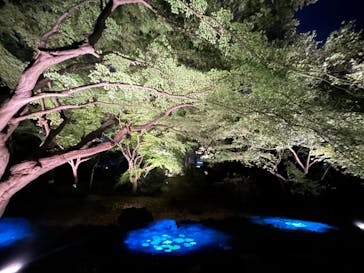 六義園に投稿された画像（2024/11/28）