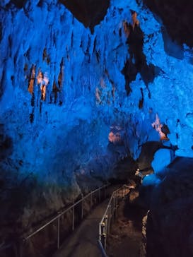 CAVE OKINAWAに投稿された画像（2024/11/28）