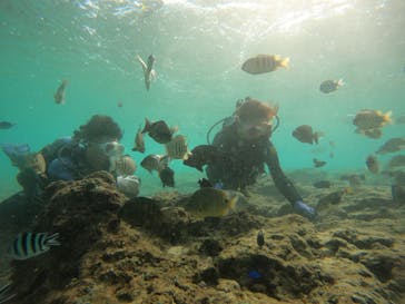 武藤潜水に投稿された画像（2024/11/28）