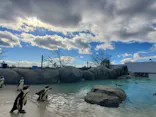 仙台うみの杜水族館に投稿された画像（2024/11/28）