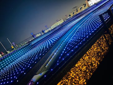 東京メガイルミに投稿された画像（2024/11/28）