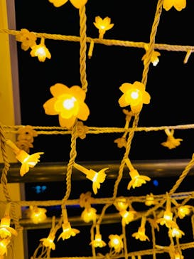 東京メガイルミに投稿された画像（2024/11/28）