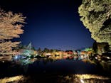 国営昭和記念公園 秋の夜散歩に投稿された画像（2024/11/28）