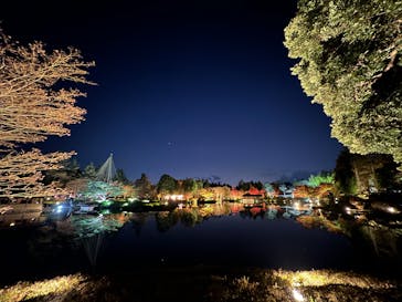 国営昭和記念公園 秋の夜散歩に投稿された画像（2024/11/28）