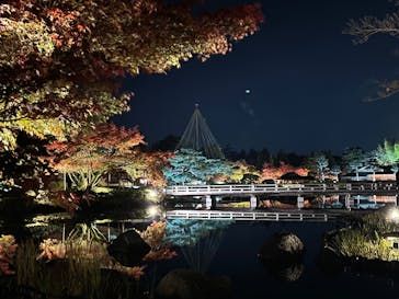 国営昭和記念公園 秋の夜散歩に投稿された画像（2024/11/28）